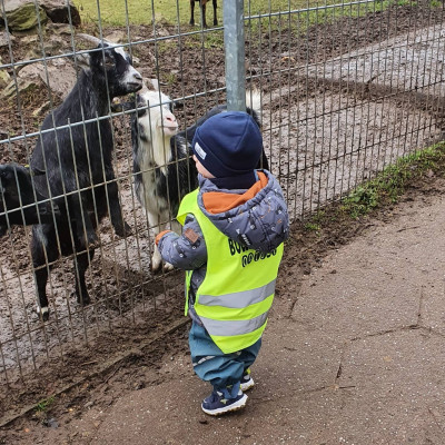 Besuch im Wildpark